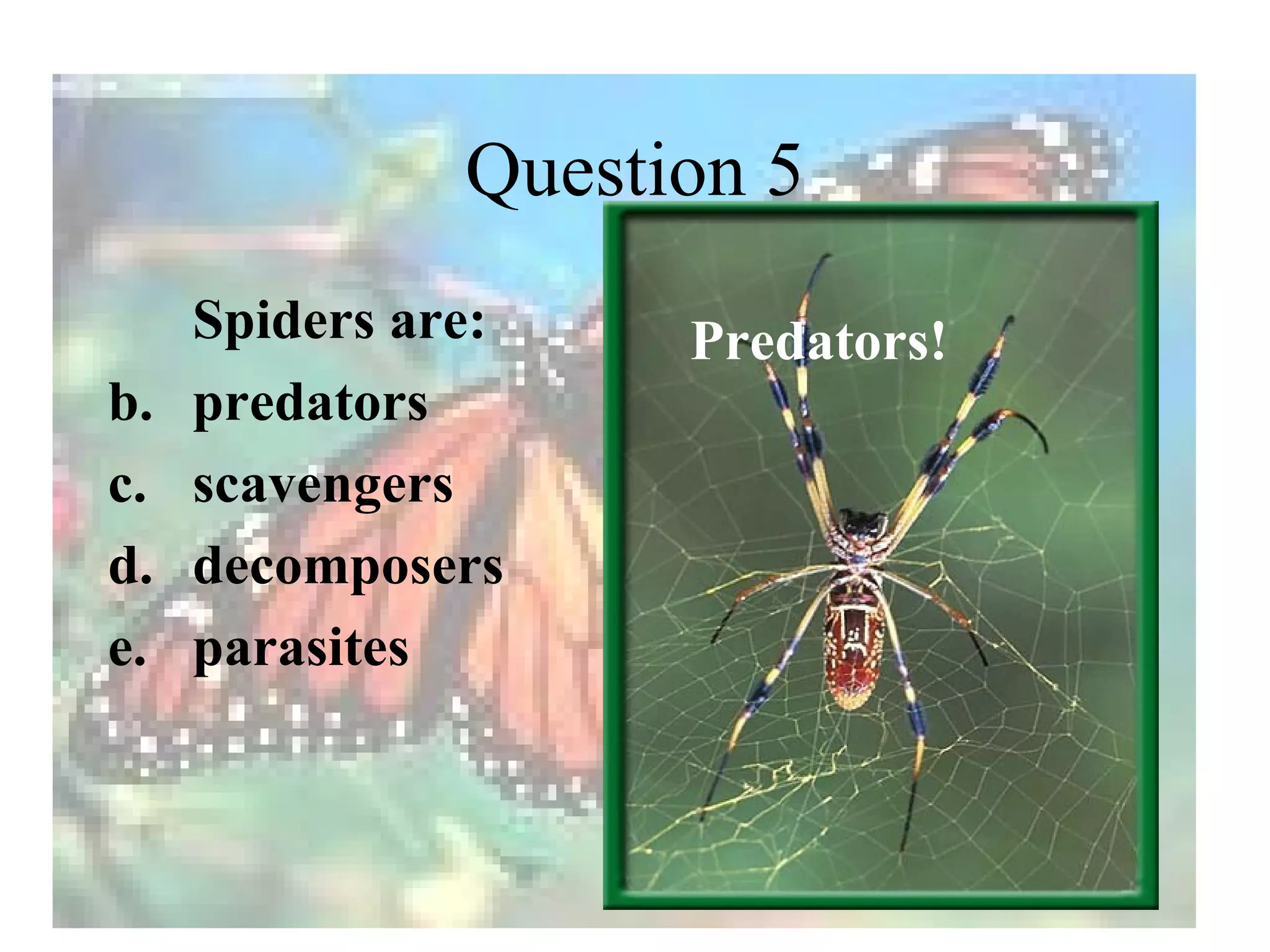 Question 5
     Spiders are:    Predators!
b.   predators
c.   scavengers
d.   decomposers
e.   parasites
 