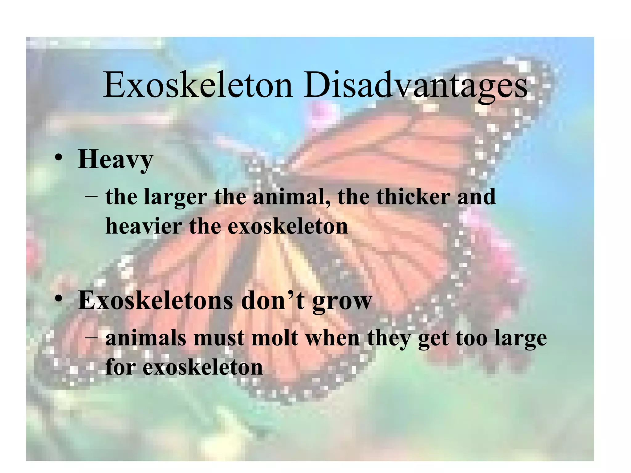 Exoskeleton Disadvantages
• Heavy
  – the larger the animal, the thicker and
    heavier the exoskeleton


• Exoskeletons don’t grow
  – animals must molt when they get too large
    for exoskeleton
 