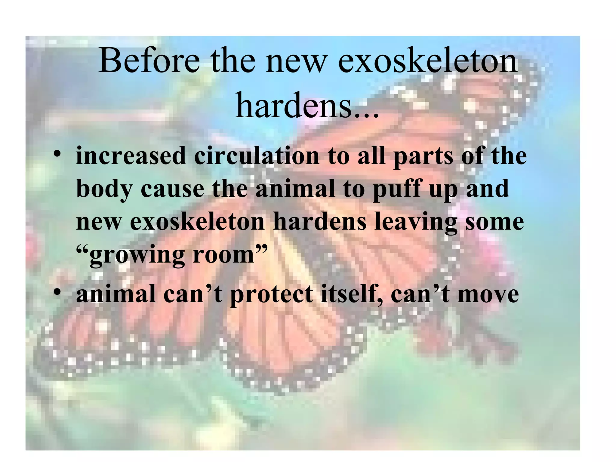 Before the new exoskeleton
             hardens...
• increased circulation to all parts of the
  body cause the animal to puff up and
  new exoskeleton hardens leaving some
  “growing room”
• animal can’t protect itself, can’t move
 
