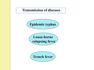 Transmission of diseases


    Epidemic typhus


       Louse-borne
      relapsing fever



      Trench fever
 