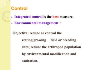Control
    Integrated control is the best measure.
    Environmental management：

    Objective: reduce or control the
          resting/growing   field or breeding
          sites; reduce the arthropod population
          by environmental modification and
          sanitation.
 