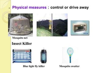    Physical measures：control or drive away




    Mosquito net

    Insect Killer




            Blue light fly killer   Mosquito swatter
 