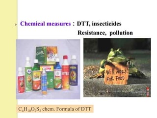   Chemical measures：DTT, insecticides
                      Resistance, pollution




    C4H10O2S2 chem. Formula of DTT
 