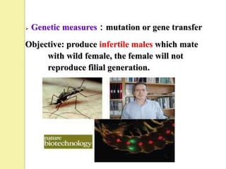    Genetic measures：mutation or gene transfer
Objective: produce infertile males which mate
     with wild female, the female will not
     reproduce filial generation.
 