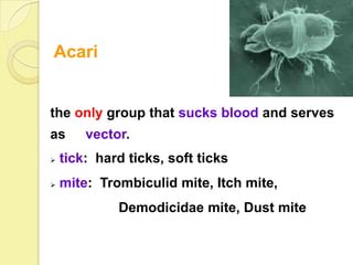 Acari


the only group that sucks blood and serves
as      vector.
   tick: hard ticks, soft ticks
   mite: Trombiculid mite, Itch mite,
             Demodicidae mite, Dust mite
 