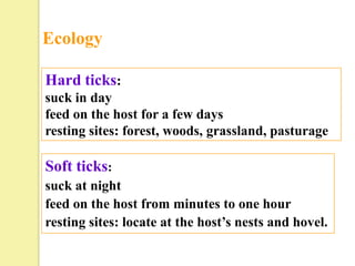 Ecology

Hard ticks:
suck in day
feed on the host for a few days
resting sites: forest, woods, grassland, pasturage

Soft ticks:
suck at night
feed on the host from minutes to one hour
resting sites: locate at the host’s nests and hovel.
 