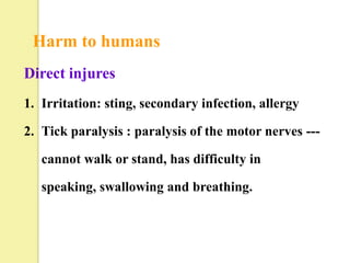 Harm to humans
Direct injures
1. Irritation: sting, secondary infection, allergy

2. Tick paralysis : paralysis of the motor nerves ---

   cannot walk or stand, has difficulty in

   speaking, swallowing and breathing.
 