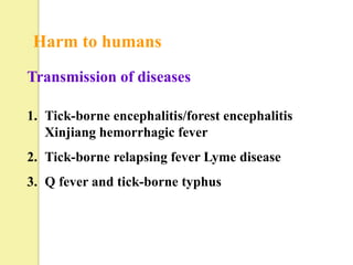 Harm to humans
Transmission of diseases

1. Tick-borne encephalitis/forest encephalitis
   Xinjiang hemorrhagic fever
2. Tick-borne relapsing fever Lyme disease
3. Q fever and tick-borne typhus
 