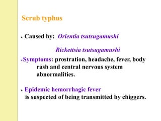 Scrub typhus

   Caused by: Orientia tsutsugamushi

               Rickettsia tsutsugamushi
   Symptoms: prostration, headache, fever, body
        rash and central nervous system
        abnormalities.

   Epidemic hemorrhagic fever
    is suspected of being transmitted by chiggers.
 