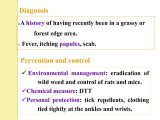 Diagnosis
   A history of having recently been in a grassy or
         forest edge area.
   Fever, itching papules, scab.

    Prevention and control
     Environmental management: eradication of
         wild weed and control of rats and mice.
    Chemical measure: DTT
    Personal protection: tick repellents, clothing
         tied tightly at the ankles and wrists.
 