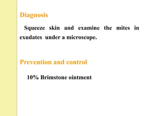 Diagnosis
 Squeeze skin and examine the mites in
exudates under a microscope.



Prevention and control

  10% Brimstone ointment
 