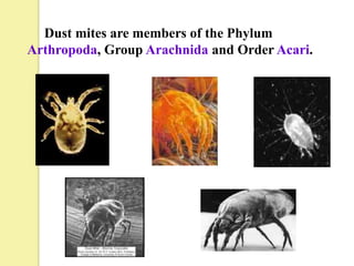 Dust mites are members of the Phylum
Arthropoda, Group Arachnida and Order Acari.
 