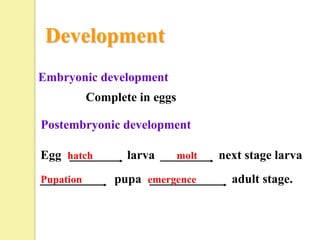 Development
Embryonic development
           Complete in eggs

Postembryonic development

Egg hatch         larva       molt   next stage larva
Pupation        pupa emergence         adult stage.
 