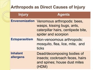 Arthropods as Direct Causes of Injury
     Injury                    Agents
Envenomization Venomous arthropods: bees,
                 wasps, kissing bugs, ants,
                 caterpillar hairs, centipede bite,
                 spider and scorpion
Ectoparasitism   Non-venoomous arthropods:
                 mosquito, flea, lice, mite, and
                 ticks
Inhalant         Dead/decomposing bodies of
allergens        insects; cockroach feces, hairs
                 and spines; house dust mites
                 (HDM)
 