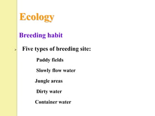 Ecology
    Breeding habit
    Five types of breeding site:
          Paddy fields

          Slowly flow water

          Jungle areas

          Dirty water

          Container water
 