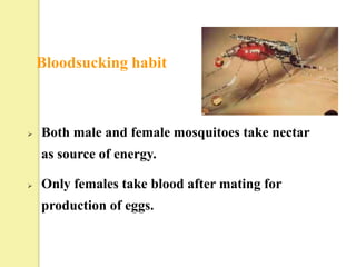 Bloodsucking habit



   Both male and female mosquitoes take nectar
    as source of energy.

   Only females take blood after mating for
    production of eggs.
 
