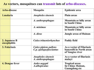 As vectors, mosquitoes can transmit lots of arbo-diseases.
Arbo-disease          Mosquito                  Epidemic area
1.malaria             Anopheles sinensis        Plain areas
                      A. anthropophagus         Mountain or hilly areas
                                                in South China
                      A. minimus                Mountain or hilly areas
                                                in South China
                      A. dirus                  Jungle areas of Hainan

2. Japanese B         Culex tritaeniorhynchus   Paddy field
encephalitis
3. Falariasis         Culex pipiens pallens     As a vector of Filariasis
                      C.p. quinquefasciantus    bancrofti in North areas
                                                of Yangtse river
                      Anopheles sinensis        As a vector of filariasis
                      A. anthropophagus         malayi
4. Dengue fever       Aedes aegypti             Tropical areas
                      A.albopicutus             In China: Hainan,
                                                Guangdong etc
 