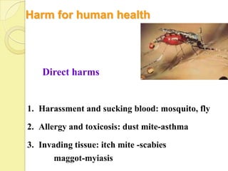 Harm for human health



    Direct harms


1. Harassment and sucking blood: mosquito, fly

2. Allergy and toxicosis: dust mite-asthma

3. Invading tissue: itch mite -scabies
       maggot-myiasis
 