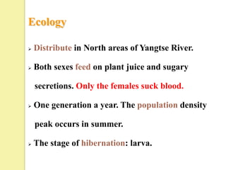 Ecology

   Distribute in North areas of Yangtse River.

   Both sexes feed on plant juice and sugary

    secretions. Only the females suck blood.

   One generation a year. The population density

    peak occurs in summer.

   The stage of hibernation: larva.
 