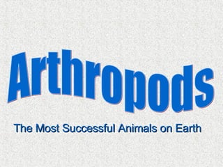 Arthropods The Most Successful Animals on Earth 