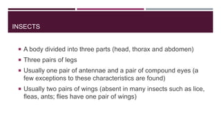 INSECTS

 A body divided into three parts (head, thorax and abdomen)
 Three pairs of legs
 Usually one pair of antennae and a pair of compound eyes (a

few exceptions to these characteristics are found)
 Usually two pairs of wings (absent in many insects such as lice,

fleas, ants; flies have one pair of wings)

 