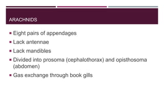 ARACHNIDS

 Eight pairs of appendages
 Lack antennae
 Lack mandibles

 Divided into prosoma (cephalothorax) and opisthosoma

(abdomen)
 Gas exchange through book gills

 
