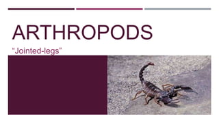 ARTHROPODS
“Jointed-legs”

 