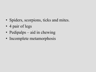 • Spiders, scorpions, ticks and mites.
• 4 pair of legs
• Pedipalps – aid in chewing
• Incomplete metamorphosis
 