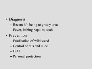 • Diagnosis
– Recent h/o being to grassy area
– Fever, itching papules, scab
• Prevention
– Eradication of wild weed
– Control of rats and mice
– DDT
– Personal protection
 