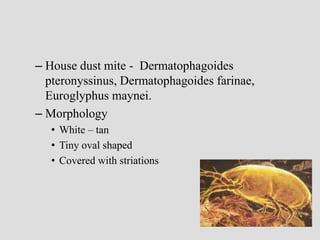 – House dust mite - Dermatophagoides
pteronyssinus, Dermatophagoides farinae,
Euroglyphus maynei.
– Morphology
• White – tan
• Tiny oval shaped
• Covered with striations
 