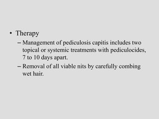 • Therapy
– Management of pediculosis capitis includes two
topical or systemic treatments with pediculocides,
7 to 10 days apart.
– Removal of all viable nits by carefully combing
wet hair.
 