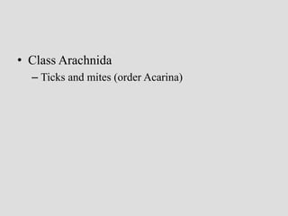 • Class Arachnida
– Ticks and mites (order Acarina)
 