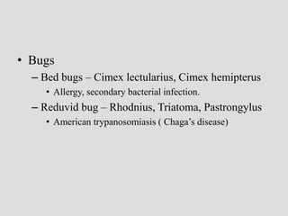 • Bugs
– Bed bugs – Cimex lectularius, Cimex hemipterus
• Allergy, secondary bacterial infection.
– Reduvid bug – Rhodnius, Triatoma, Pastrongylus
• American trypanosomiasis ( Chaga’s disease)
 