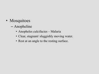 • Mosquitoes
– Anopheline
• Anopheles culcifacies – Malaria
• Clear, stagnant/ sluggishly moving water.
• Rest at an angle to the resting surface.
 
