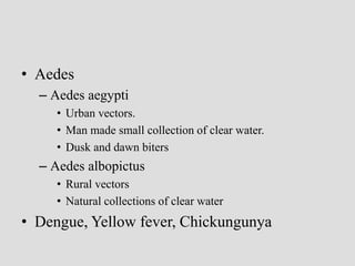 • Aedes
– Aedes aegypti
• Urban vectors.
• Man made small collection of clear water.
• Dusk and dawn biters
– Aedes albopictus
• Rural vectors
• Natural collections of clear water
• Dengue, Yellow fever, Chickungunya
 