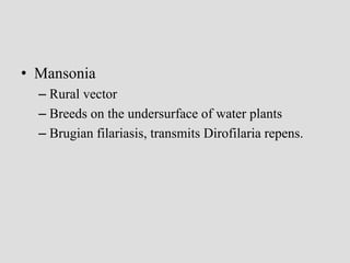 • Mansonia
– Rural vector
– Breeds on the undersurface of water plants
– Brugian filariasis, transmits Dirofilaria repens.
 
