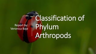 Classification of
Phylum
Arthropods
Report by:
Veronica Baje
 