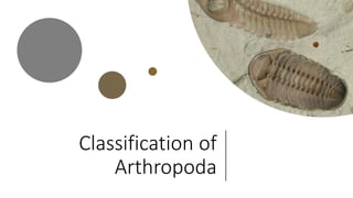 Classification of
Arthropoda
 
