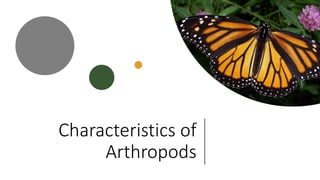 Characteristics of
Arthropods
 