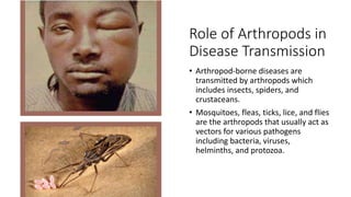 Role of Arthropods in
Disease Transmission
• Arthropod-borne diseases are
transmitted by arthropods which
includes insects, spiders, and
crustaceans.
• Mosquitoes, fleas, ticks, lice, and flies
are the arthropods that usually act as
vectors for various pathogens
including bacteria, viruses,
helminths, and protozoa.
 