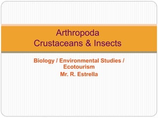 Arthropoda
Crustaceans & Insects
Biology / Environmental Studies /
Ecotourism
Mr. R. Estrella
 
