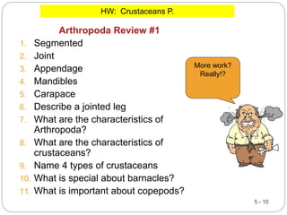 5 - 10
Arthropoda Review #1
1. Segmented
2. Joint
3. Appendage
4. Mandibles
5. Carapace
6. Describe a jointed leg
7. What are the characteristics of
Arthropoda?
8. What are the characteristics of
crustaceans?
9. Name 4 types of crustaceans
10. What is special about barnacles?
11. What is important about copepods?
HW: Crustaceans P.
More work?
Really!?
 