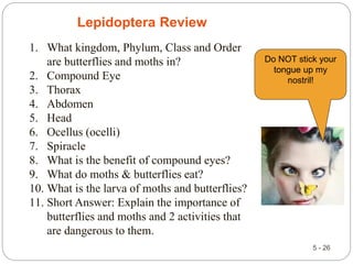 5 - 26
Lepidoptera Review
Mollusks
–
A
Bag,
a
Scraper,
and
a
Foot
Chapter
5
Pages
5-45
to
5-48
1. What kingdom, Phylum, Class and Order
are butterflies and moths in?
2. Compound Eye
3. Thorax
4. Abdomen
5. Head
6. Ocellus (ocelli)
7. Spiracle
8. What is the benefit of compound eyes?
9. What do moths & butterflies eat?
10. What is the larva of moths and butterflies?
11. Short Answer: Explain the importance of
butterflies and moths and 2 activities that
are dangerous to them.
Do NOT stick your
tongue up my
nostril!
 