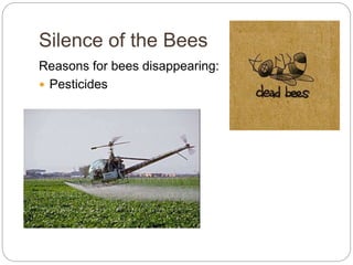 Silence of the Bees
Reasons for bees disappearing:
 Pesticides
 
