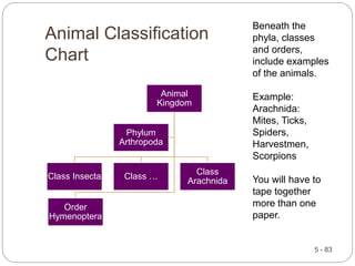 Animal Classification
Chart
5 - 83
Animal
Kingdom
Class Insecta Class …
Class
Arachnida
Order
Hymenoptera
Phylum
Arthropoda
Beneath the
phyla, classes
and orders,
include examples
of the animals.
Example:
Arachnida:
Mites, Ticks,
Spiders,
Harvestmen,
Scorpions
You will have to
tape together
more than one
paper.
 
