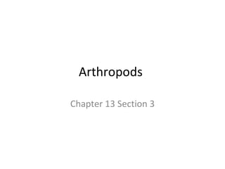 Arthropods Chapter 13 Section 3 