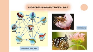 Arthropods (entomology) | PPTX | Infectious Diseases | Diseases and ...