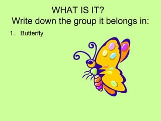 WHAT IS IT?
Write down the group it belongs in:
1. Butterfly
 