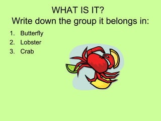 WHAT IS IT?
Write down the group it belongs in:
1. Butterfly
2. Lobster
3. Crab
 