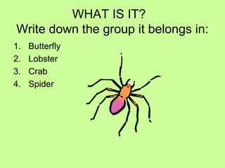 WHAT IS IT?
Write down the group it belongs in:
1. Butterfly
2. Lobster
3. Crab
4. Spider
 